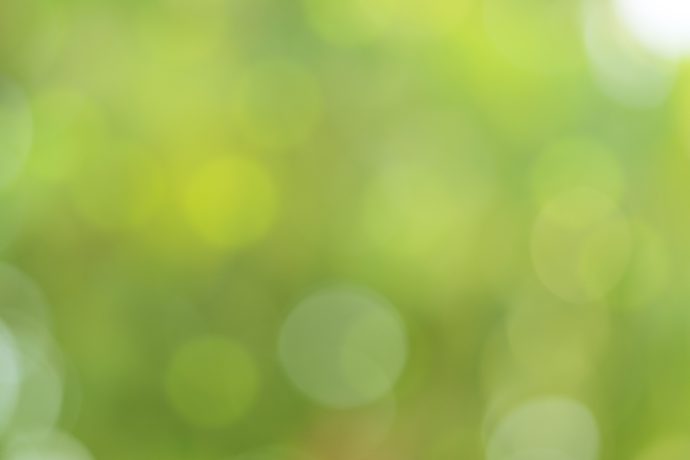 Abstract Blurry Pastel Green Background